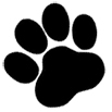 Seminole Trails Elementary School Logo